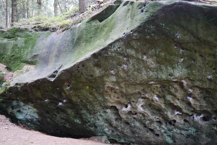 Monstrum