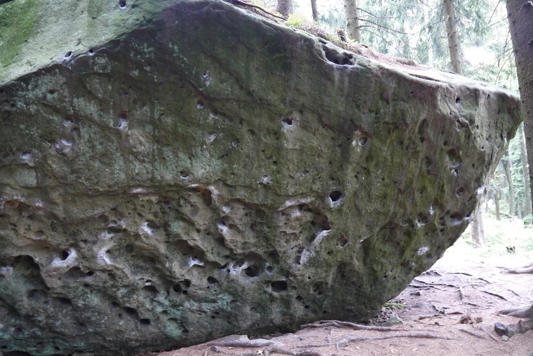 Monstrum