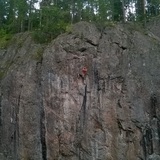 Samuli Lehesaari