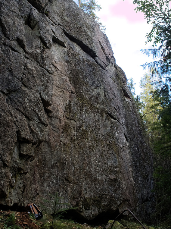 Linnavuori