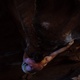 Small 6b87cf208354