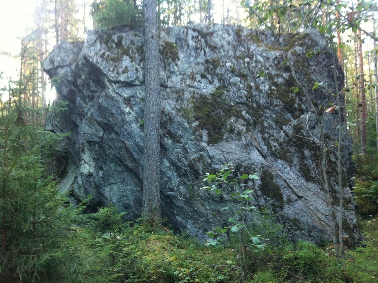 Torppikulma