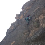 Bashayer Albulushi