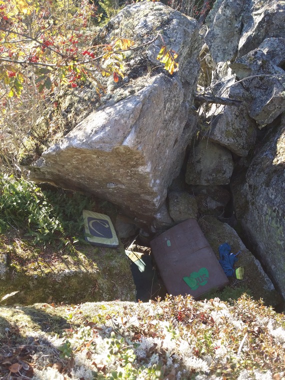 Grytälgen