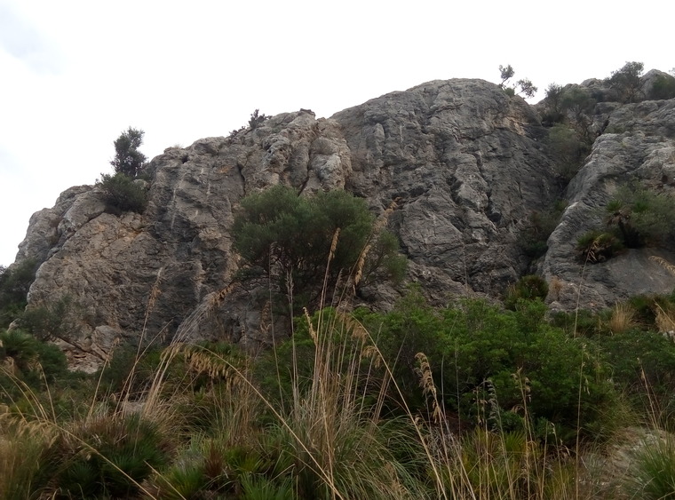 West Face