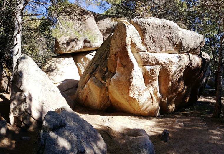 Bosque de Cantocochino Oeste