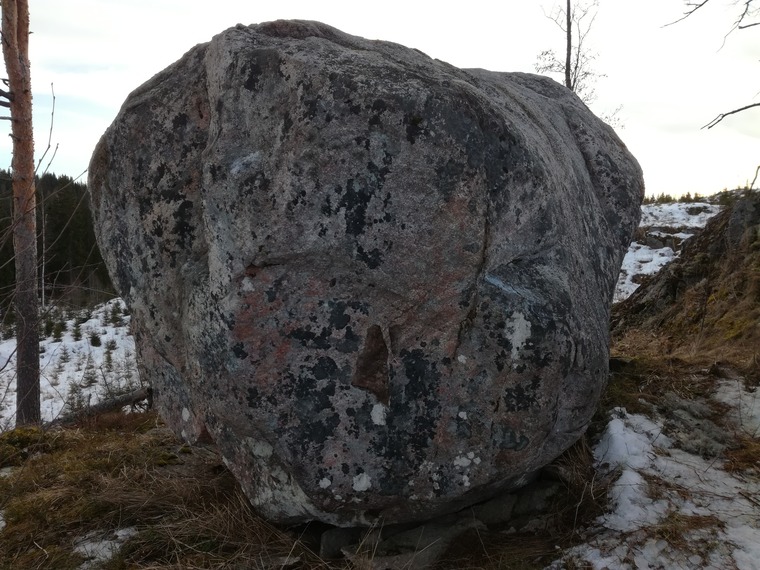 Kivi