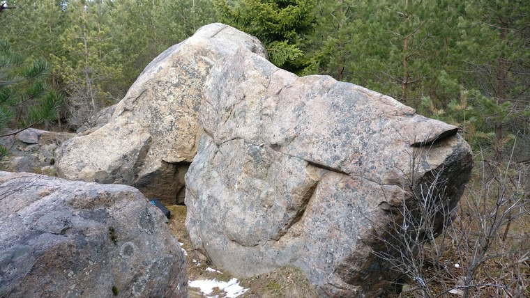 Pontikka