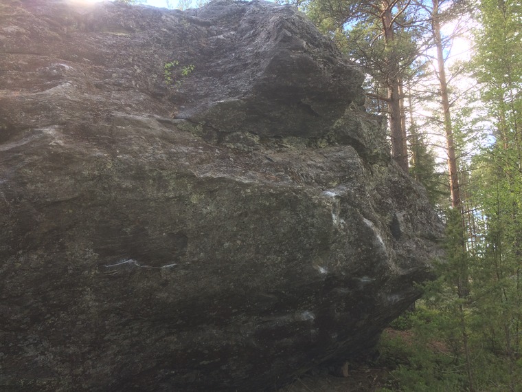 Iso kivi