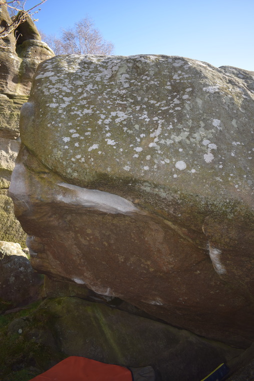 Black Chipper Arete