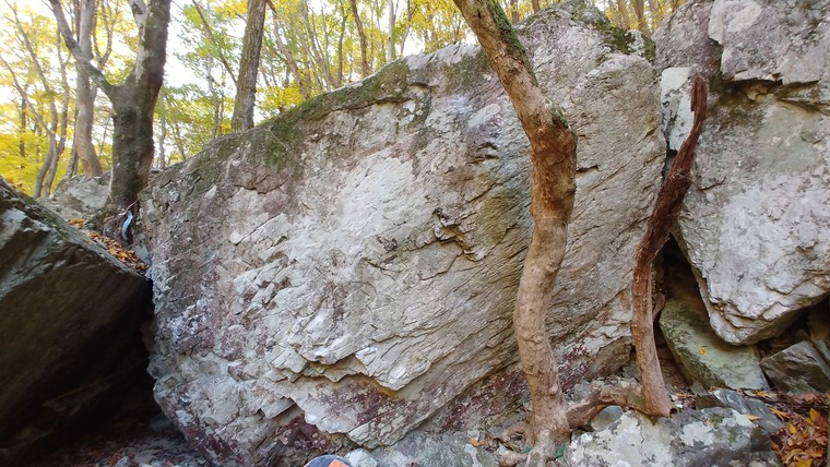 Diamond/V3Bloc