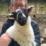 Matt O'Reilly