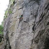 Stretch Flo Hansen