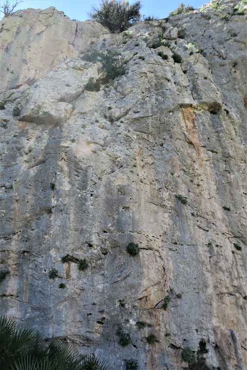 El cable