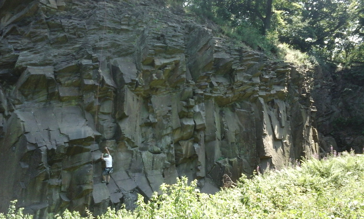 Isenberg
