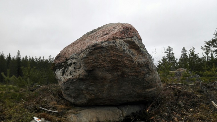 Mustikka