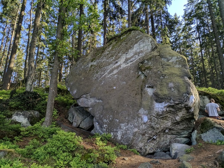 Królik