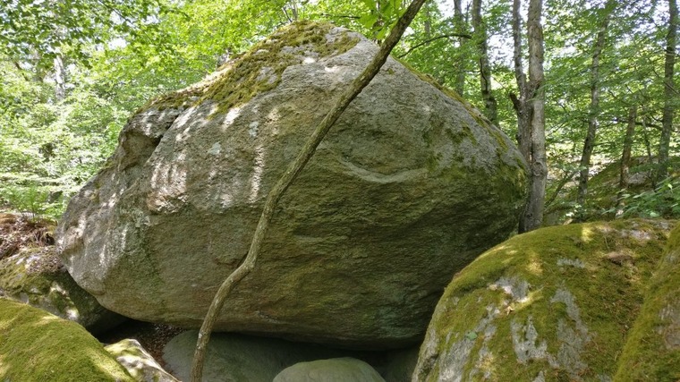 G9 - Barnblocket