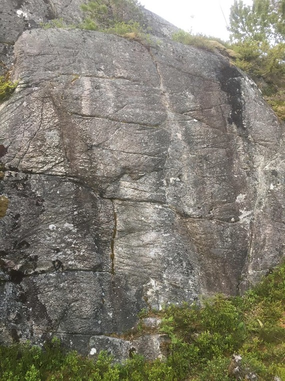 Hasselveggen