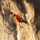 Small 9c77a781e1e9
