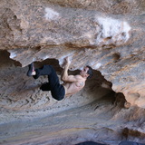 Matthew Tait