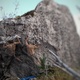 Small 8c9cc7c451be