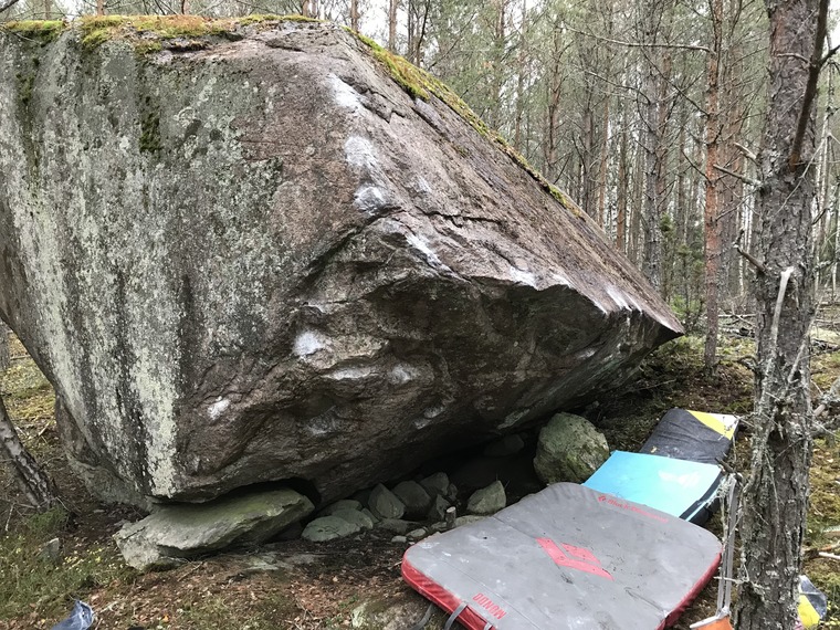 Skogen