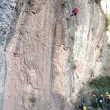 Sergi del Nido