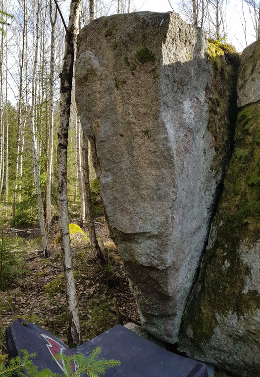Klapperkärret - Björkskogen