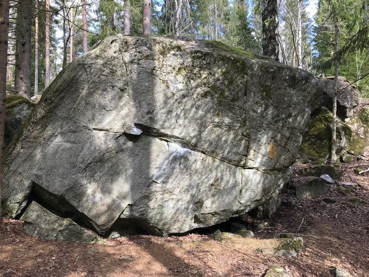 Nyresteinene