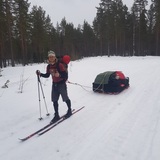 Henrik Enfält