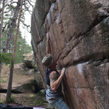 Petri Niemi