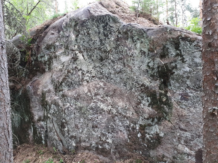 Karhunpesä
