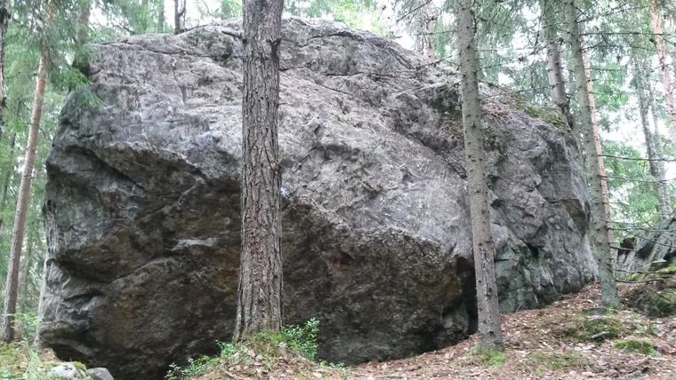 Höytämö