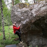Jussi Luukkonen