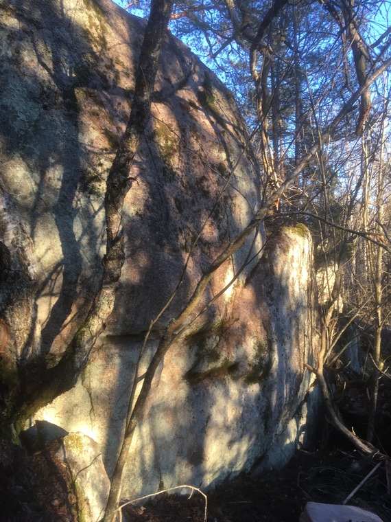 Rotten Tree Boulder