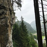 Ruusu Pekkala