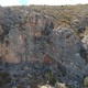 Climb Junky
